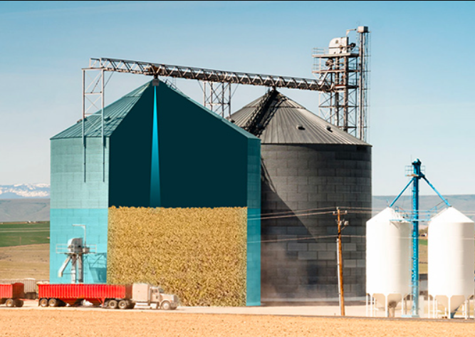 图片5.png 图片5.png